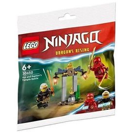 Lego Ninjago 30650 Renkli Kai And Raptons Temple Battle