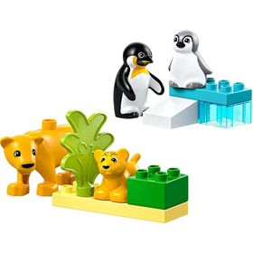 Lego Vahşi Hayvan Aileleri: Penguenler ve Aslanlar