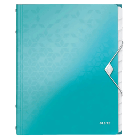 Leitz 46330023 Wow 12 Konular Dosyalar