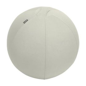 Leitz 65410085 Ergo Active 55 cm Açık Gri Kaymaz Oturma Topu