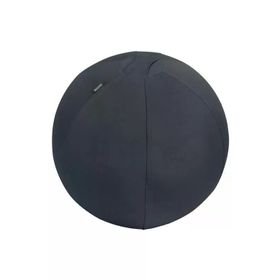 Leitz 65410089 Ergo Active 55 cm Koyu Gri Kaymaz Oturma Topu