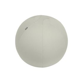 Leitz 65420085 Ergo Active 65 cm Açık Gri Kaymaz Oturma Topu