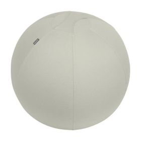 Leitz 65420085 Ergo Active 65 cm Açık Gri Kaymaz Oturma Topu