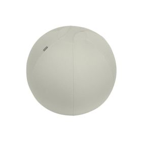 Leitz 65420085 Ergo Active 65 cm Açık Gri Kaymaz Oturma Topu