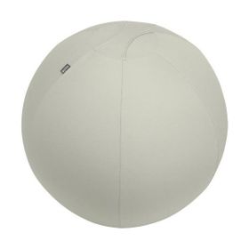 Leitz 65430085 Ergo Active 75 cm Açık Gri Kaymaz Oturma Topu