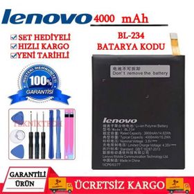 Lenovo BL234 P90 Orijinal Batarya