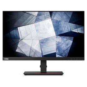 Lenovo ThinkVision P24h-2L 62B2GAT1TK 23.8 inç Monitör