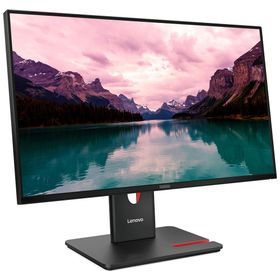 Lenovo ThinkVision T24-40 64A4MATXTK 23.8 inç WLED Monitör