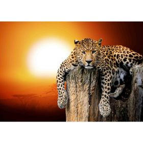Leopar Kanvas Tablo