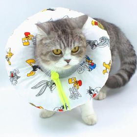 Lepus Tavşan Figürlü No:3 Kedi Köpek Yakalık