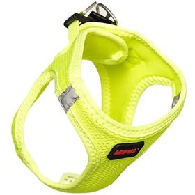 Lepus Xxsmall Sarı Köpek Göğüs Tasması