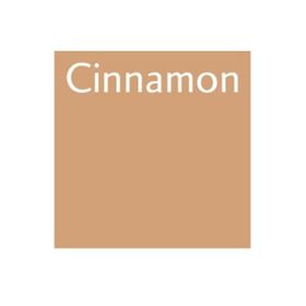 Letraset O427 Promarker Cinnamon Çizim Kalemi