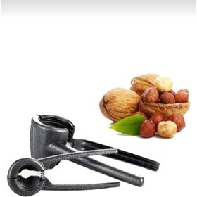 Leva Fındık Kıracağı