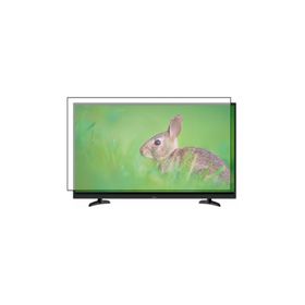 Levelglass Altus AL40L 4850 4B Uyumlu Tv Ekran Koruyucu