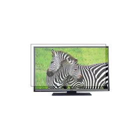 Levelglass Regal 32R2010HM Uyumlu Tv Ekran Koruyucu