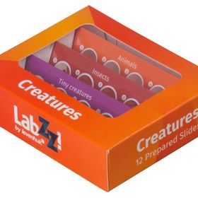 Levenhuk LabZZ C12 Canlılar Hazırlanmış Slayt Seti