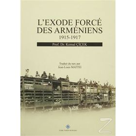 L’exode Force Des Armeniens 1915-1917 - Kemal Çiçek