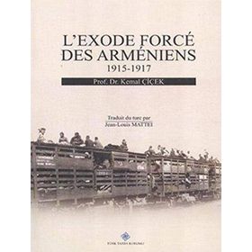 L’exode Force Des Armeniens 1915-1917 - Kemal Çiçek