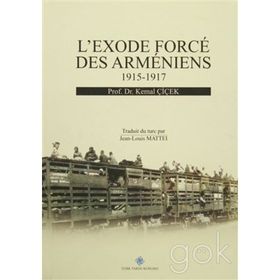 L’exode Force Des Armeniens 1915-1917 - Kemal Çiçek