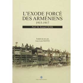L’exode Force Des Armeniens 1915-1917 - Kemal Çiçek
