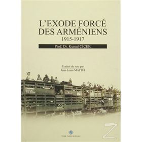 L’exode Force Des Armeniens 1915-1917 - Kemal Çiçek