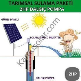 Lexron 2 HP Dalgıç Pompa Tarımsal Sulama Sistemi