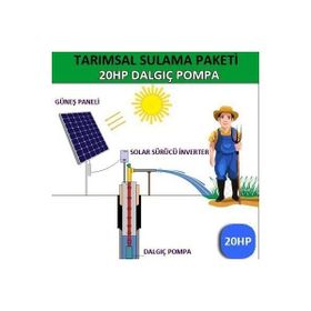Lexron 20 hp Dalgıç Pompası