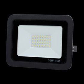 Lexron 30W 12V/24V DC Projektör