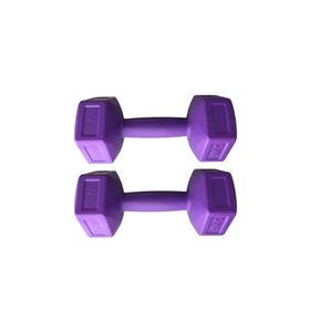 Leyaton 1 kg Mor Dambıl