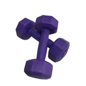 Leyaton 2x1 kg Mor Plastik Dambıl