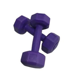 Leyaton 2x1 kg Mor Plastik Dambıl