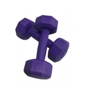 Leyaton 2x1 kg Mor Plastik Dambıl