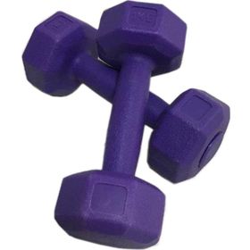 Leyaton 2x1 kg Mor Plastik Dambıl