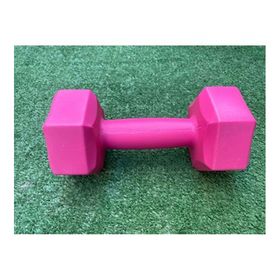 Leyaton 2x1 kg Pembe Dambıl Seti Ağırlık Seti