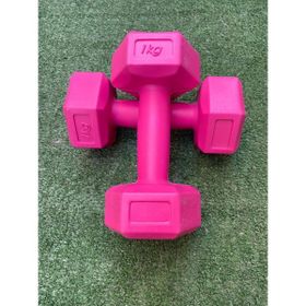 Leyaton 2x1 kg Pembe Dambıl Seti Ağırlık Seti
