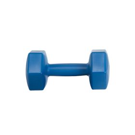 Leyaton 5 kg Tek Mavi Dambıl Ağırlık