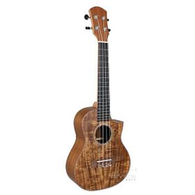 Lichtenberg CU24-3 Concert Ukulele