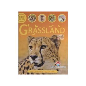 Life Cycles - Grassland - Sean Callery David Burnie