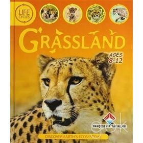 Life Cycles - Grassland - Sean Callery David Burnie