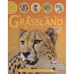 Life Cycles - Grassland - Sean Callery David Burnie