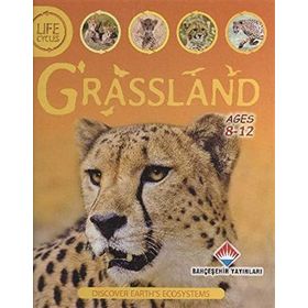 Life Cycles - Grassland - Sean Callery David Burnie