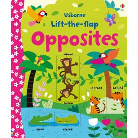 Lift the Flap Opposites Çocuk Kitap