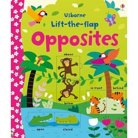 Lift the Flap Opposites Çocuk Kitap