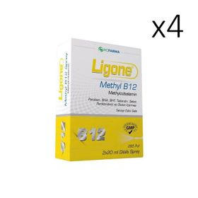 Ligone Methyl B12 4x40 ml Sprey