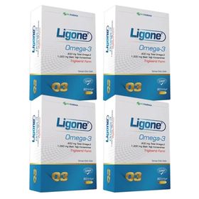 Ligone Omega-3 60 Kapsül