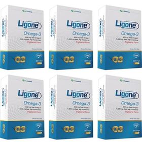 Ligone Omega 3 6x60 Kapsül Balık Yağı