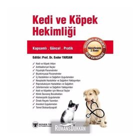 Lillian Fuchs Bir Viyolacının Portresi - Barış Kerem Bahar
