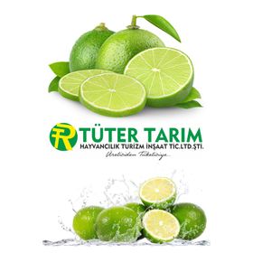 Lime Limon (Adet) (8 adet)