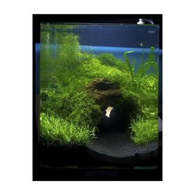 Lin Dekor 5 kg 1-2 mm Hagen Siyah Bitki Akvaryum Kumu
