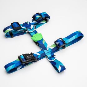 Lindo Dogs Blue Dream H Tipi Mavi Yeşil Small Köpek Göğüs Tasması